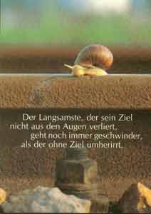 Der langsamste, der sein Ziel nicht aus den Augen verliert, geht immer noch geschwinder als der ohne Ziel umherirrt.