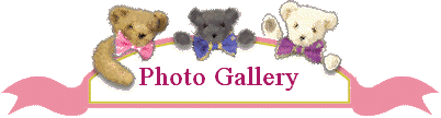 Photo Gallery